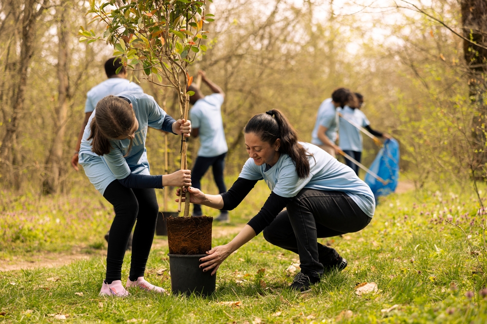 planting a tree