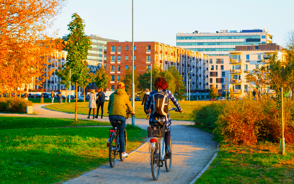 picture of urban environment