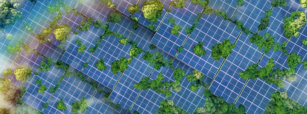 solar panels in green area