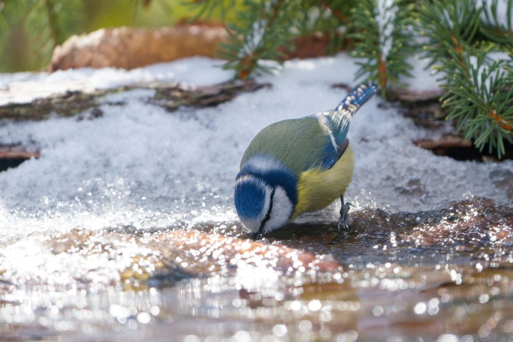 Territorial Impact Assessment – European Water Resilience Strategy